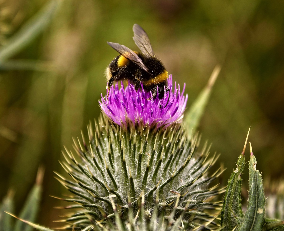 seksuele ontwikkeling kind workshop